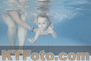 Photo 4229884