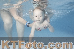 Photo 4229885