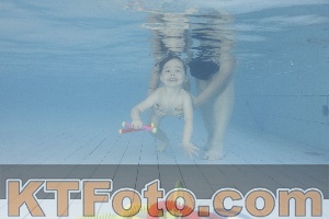 Photo 4229887