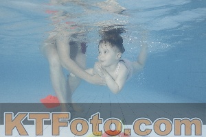 Photo 4229888