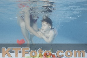 Photo 4229889