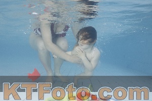 Photo 4229890