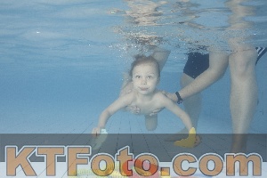 Photo 4229891
