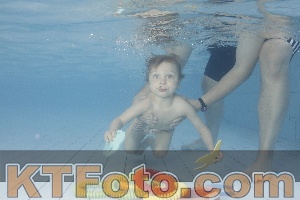 Photo 4229892