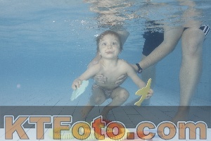 Photo 4229893