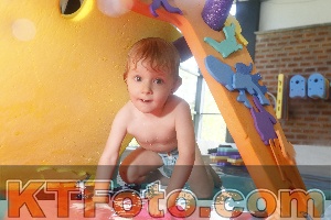 Foto 4229904