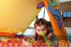 Foto 4229912