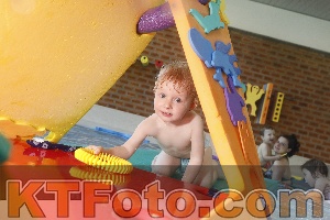 Photo 4229920