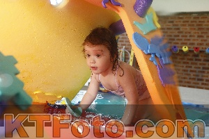 Photo 4229924