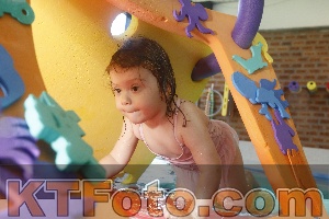 Photo 4229925