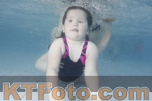 Photo 4229939