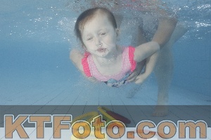 Photo 4230041