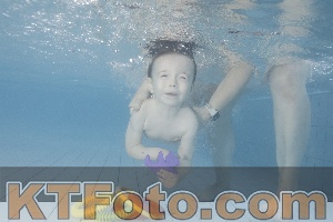 Photo 4230042