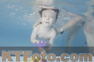 Photo 4230043