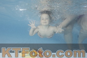 Photo 4230045