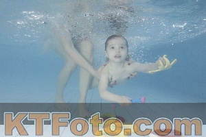 Photo 4230046