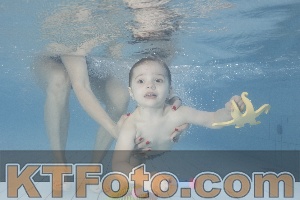 Photo 4230047