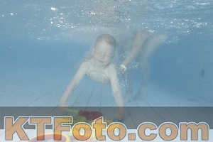 Photo 4230053