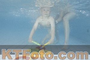 Photo 4230054