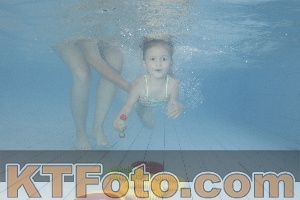 Photo 4230055