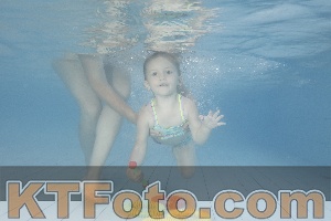 Photo 4230056