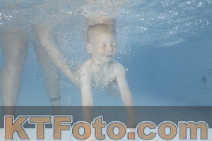 Photo 4230091