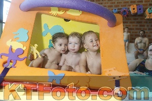 Photo 4230121
