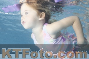 Foto 4230180