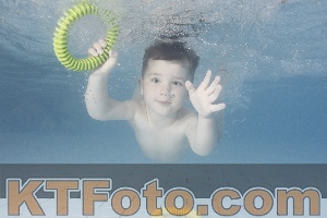 Foto 4230194