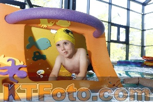 Photo 4230232