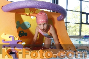 Photo 4230241