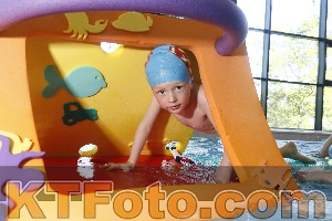 Photo 4230244