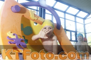 Photo 4230252