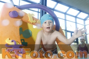 Photo 4230254