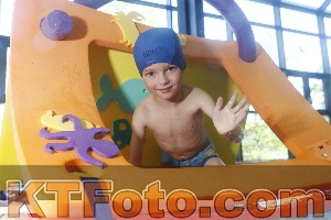 Photo 4230263