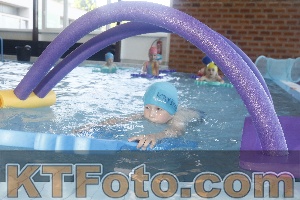Photo 4230270
