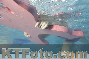Photo 4230292
