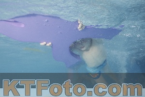 Photo 4230295