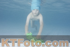 Photo 4230322