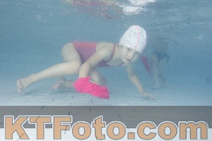 Photo 4230323