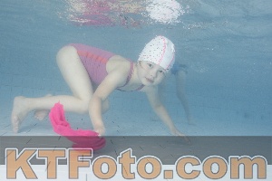 Photo 4230324