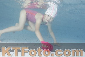 Photo 4230325