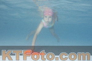 Photo 4230328