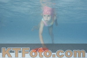 Photo 4230329