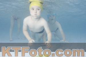 Photo 4230336