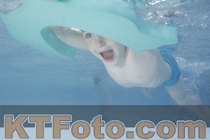 Photo 4230429