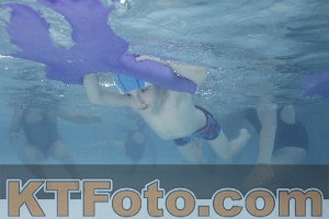 Photo 4230432