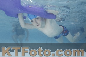 Photo 4230433