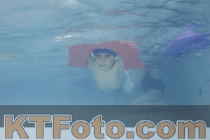 Photo 4230434