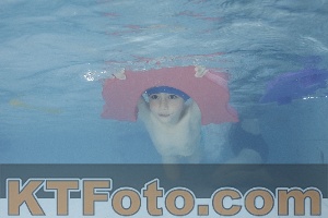 Photo 4230435